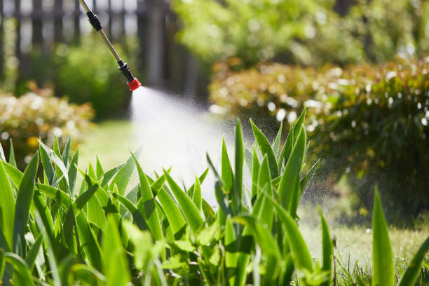 24/7 Emergency Fumigation Services experts in Dry Ridge, OH