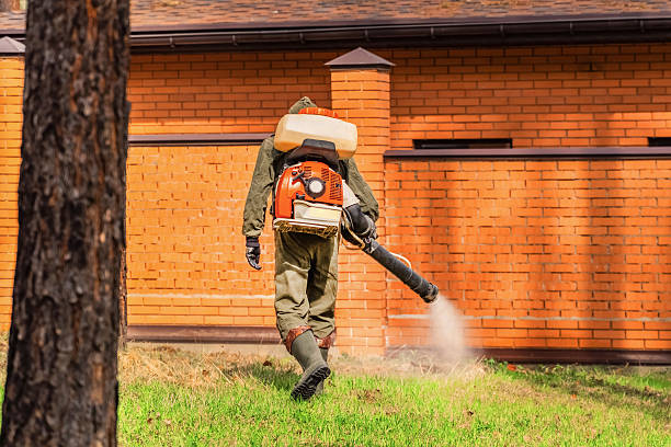 Trusted Cockroach Control service in Dry Ridge, OH - Nex Pest Control